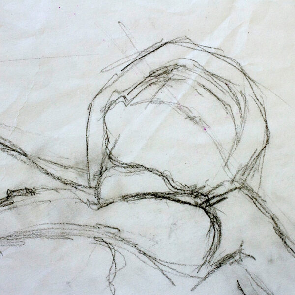 Female nude in repose II. Charcoal on paper. detail. J Walker copyright 2022