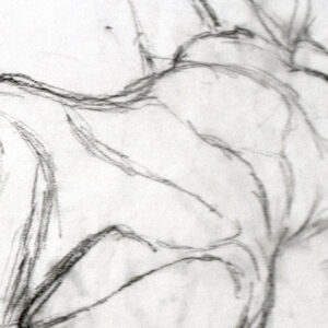 Female nude in repose II. Charcoal on paper. J Walker copyright 2022