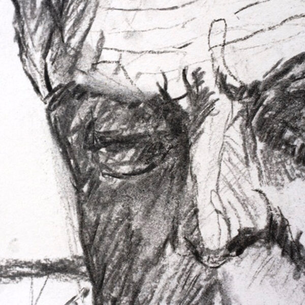 Male nude reclining. Life drawing Charcoal on heavy paper. detail. J Walker copyright 2022