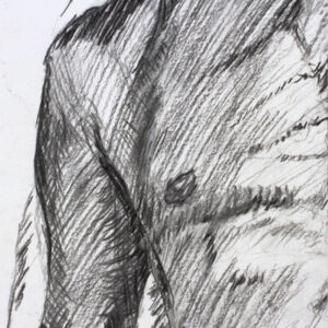 Male nude reclining. Life drawing Charcoal on paper. J Walker copyright 2022